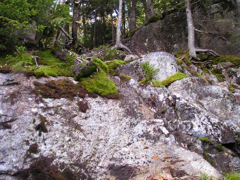 Hibbard (39).JPG - After the second viewpoint on the Walden trail we started to descend very steeply. This rock doesn't look like much, but we had to scale down it on hour hands and knees.
